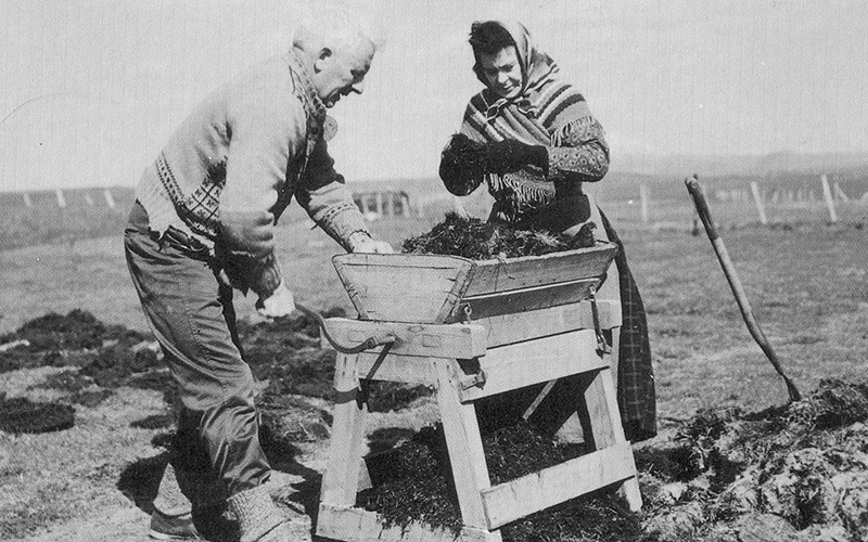 Konur í landbúnaði