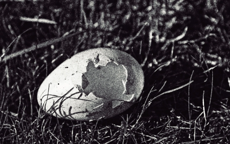 Fréttir og viðburðir