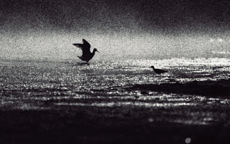 Fróðleikur og útgáfa